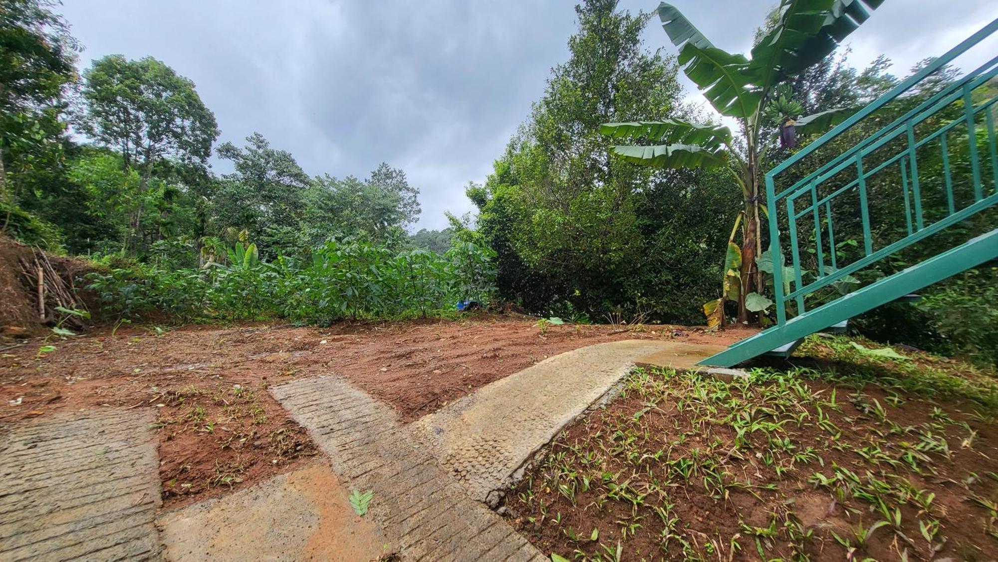 Green Cradle Munnar Bagian luar foto